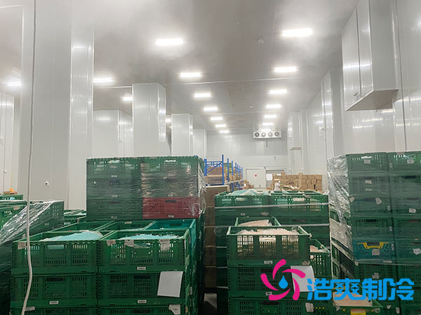 濟寧農產品加工儲存日皮网站在线观看多少錢？-日皮APP免费下载製冷