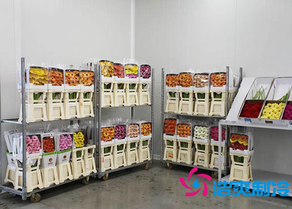 鮮花日皮网站在线观看多少錢一平方？-日皮APP免费下载製冷