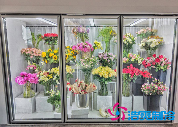 花店日皮网站在线观看適合風冷還是直冷？-日皮APP免费下载製冷