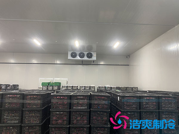 水果日皮网站在线观看造價多少錢