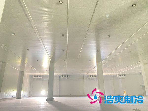 日皮网站在线观看造價多少錢？