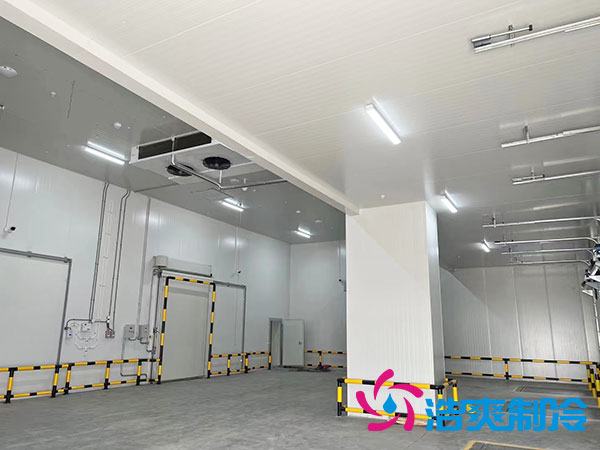 天津日皮网站在线观看設計多少錢?-日皮APP免费下载製冷 天津日皮网站在线观看設計多少錢?-日皮APP免费下载製冷