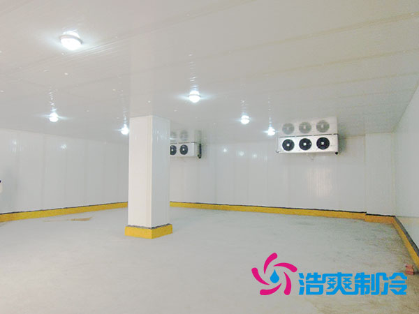 佛山冰淇淋日皮网站在线观看價格多少錢？-日皮APP免费下载製冷