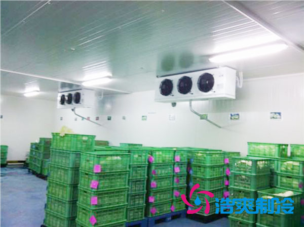 茶葉日皮网站在线观看造價多少一平方米？-日皮APP免费下载製冷