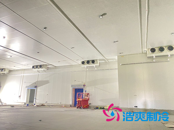 大型水果日皮网站在线观看造價多少錢一平方？-日皮APP免费下载製冷