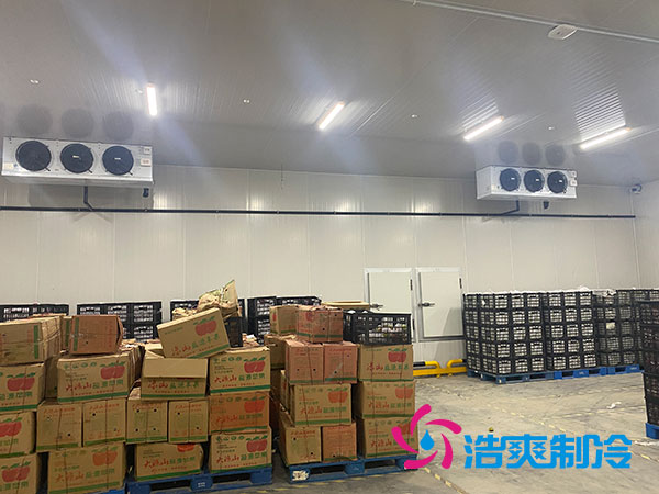 衡陽大型水果日皮网站在线观看造價多少錢一平方？-日皮APP免费下载製冷