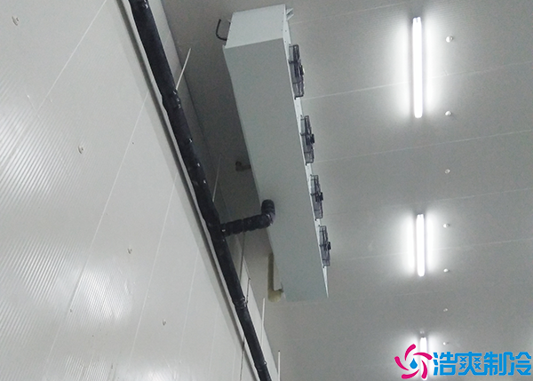 氣調日皮网站在线观看