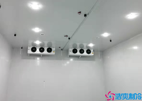 火龍果日皮网站在线观看