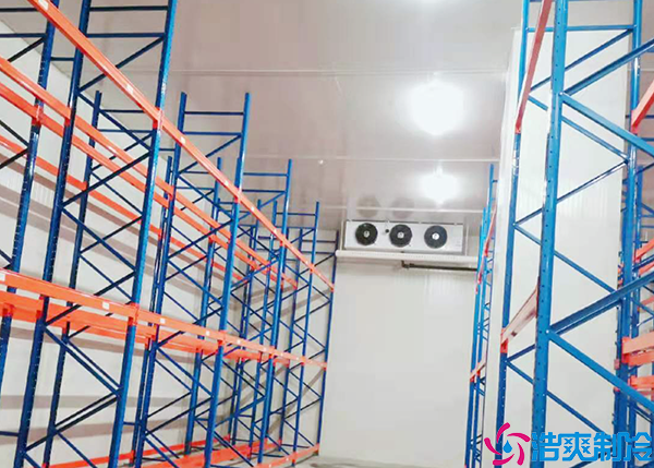 肉品日皮网站在线观看