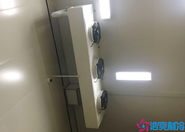 雙溫日皮网站在线观看