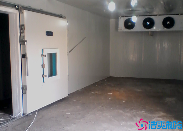 日皮网站在线观看