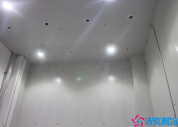 日皮网站在线观看設備