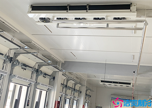 日皮网站在线观看