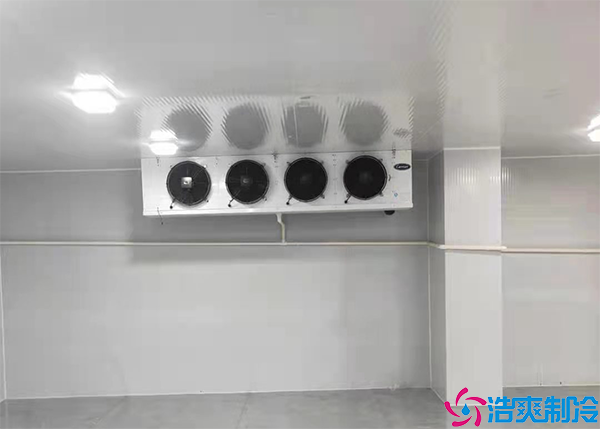 氣調日皮网站在线观看