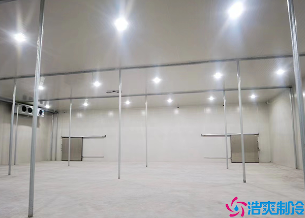 海鮮日皮网站在线观看