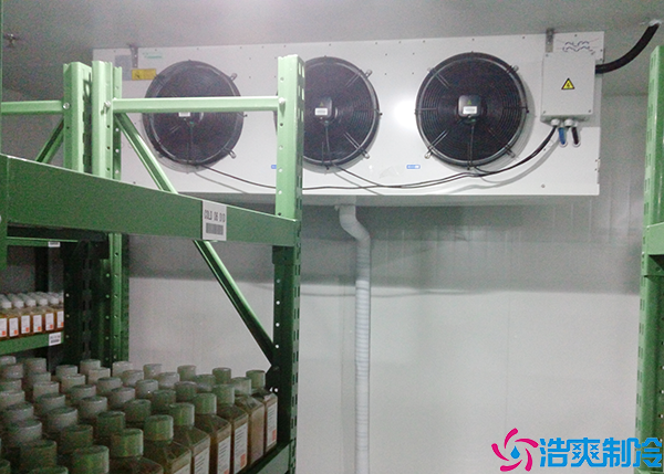 水果保鮮日皮网站在线观看