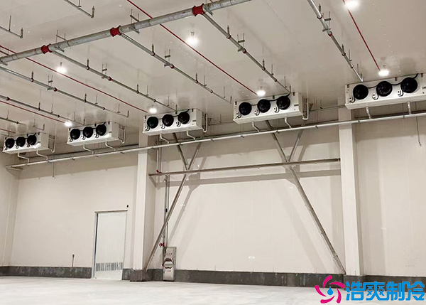 萬噸日皮网站在线观看