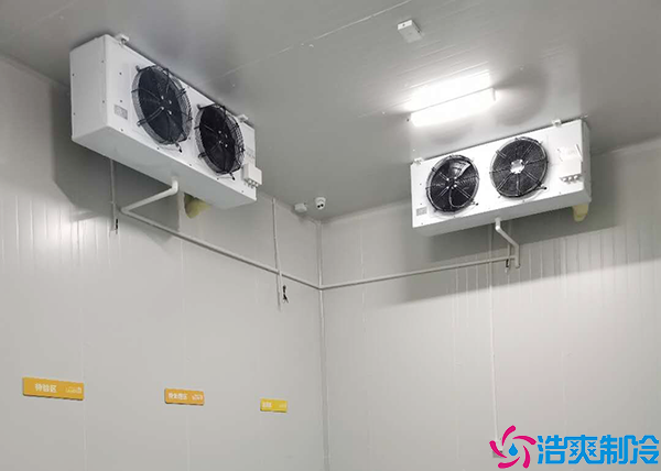 日皮网站在线观看建造