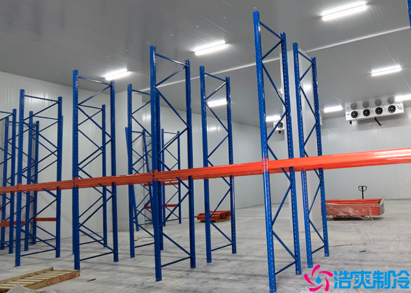 物流日皮网站在线观看