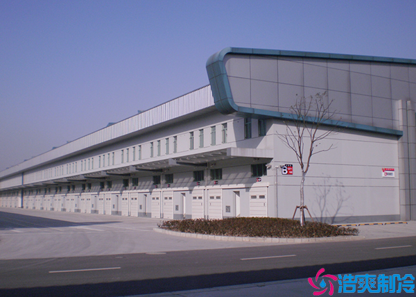 1000平方米日皮网站在线观看