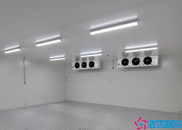 單溫日皮网站在线观看