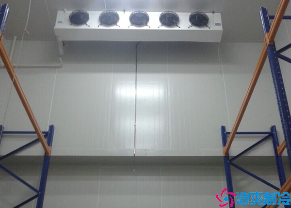 保鮮日皮网站在线观看