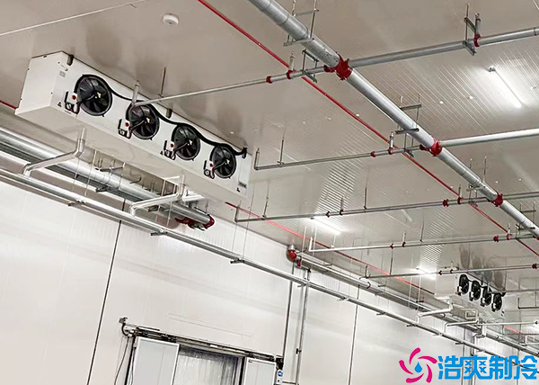 日皮网站在线观看地麵保溫