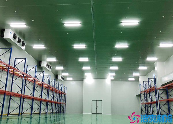 氣調日皮网站在线观看