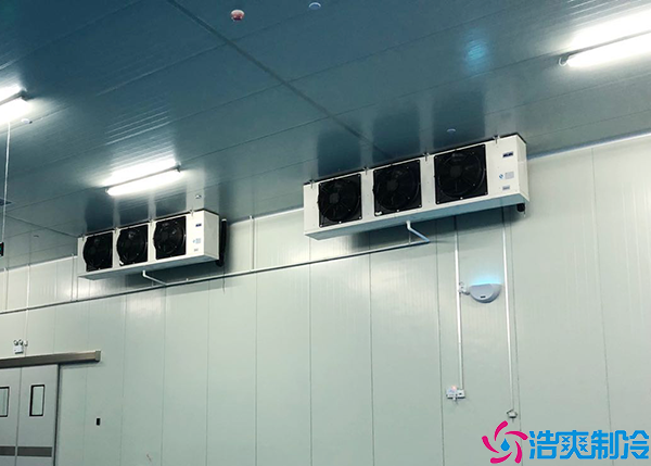 蔬菜保鮮日皮网站在线观看