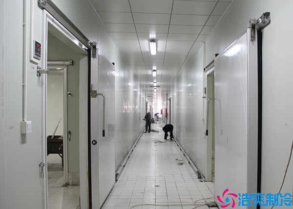 食品日皮网站在线观看