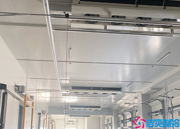 蔬菜日皮网站在线观看