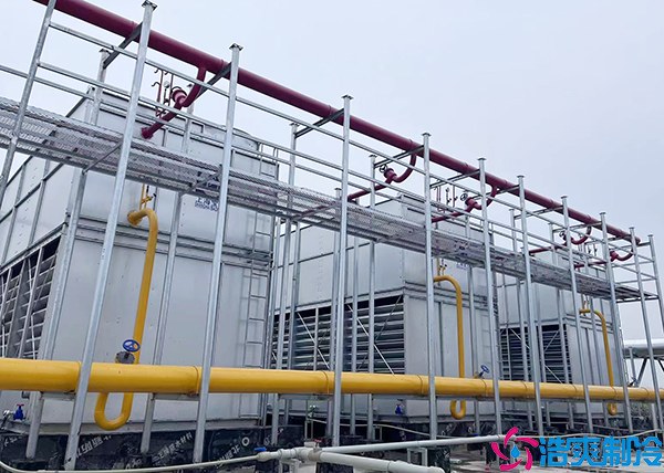 速凍日皮网站在线观看