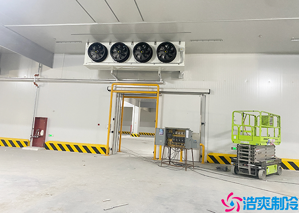 排酸日皮网站在线观看