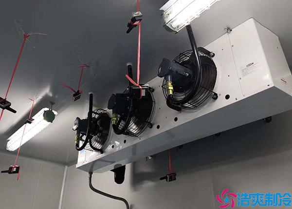 生鮮移動保鮮日皮网站在线观看