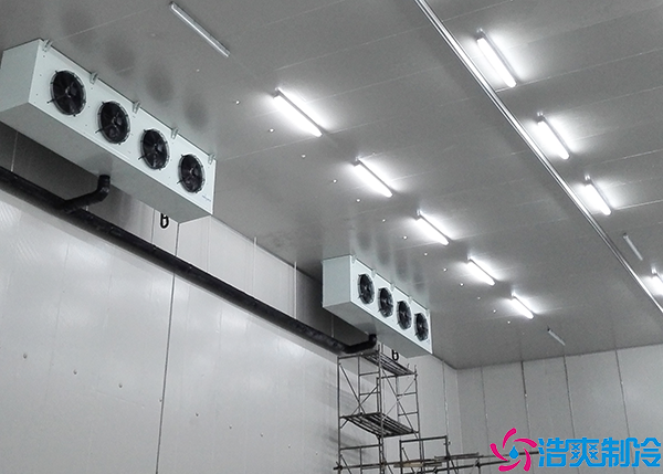 肉類低溫日皮网站在线观看