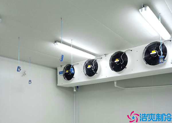 速凍日皮网站在线观看