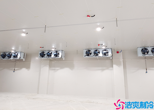 海鮮速凍日皮网站在线观看