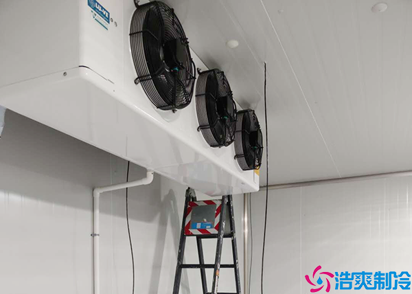 揚州日皮网站在线观看