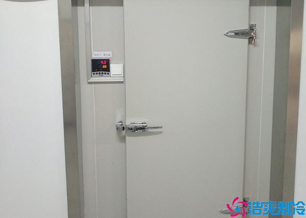 小型日皮网站在线观看