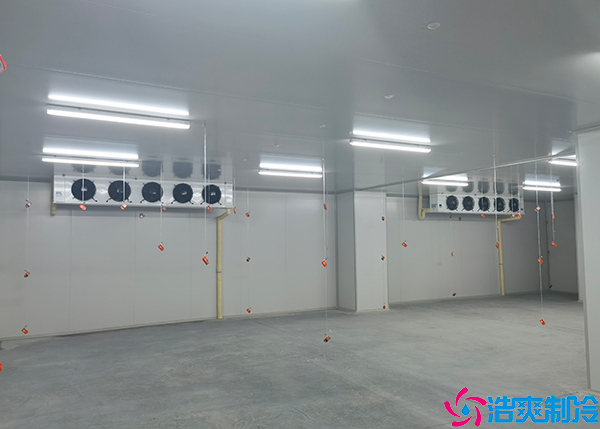 蔬菜保鮮日皮网站在线观看