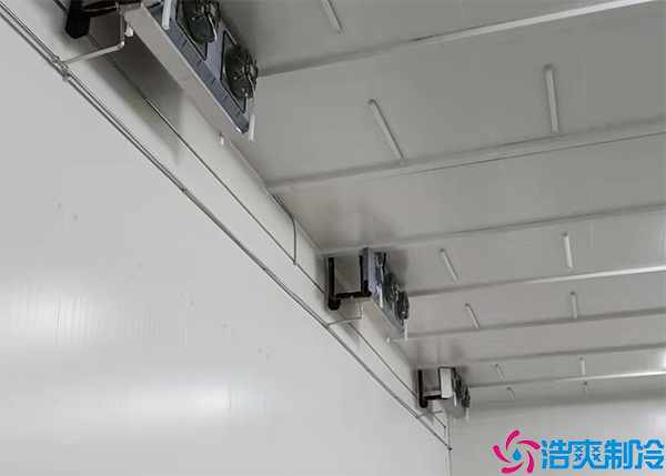 雙溫組裝日皮网站在线观看