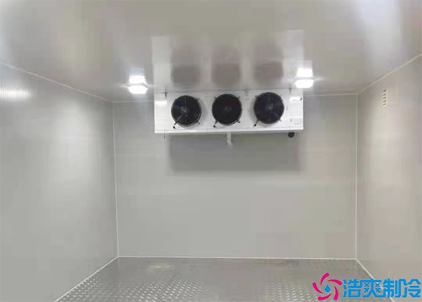 微型肉品日皮网站在线观看