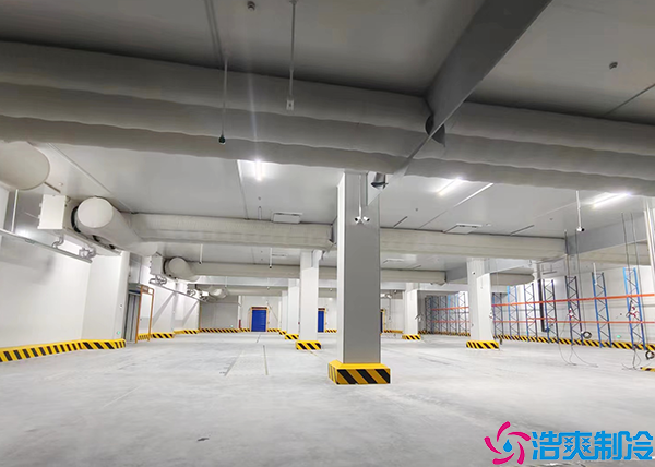 物流日皮网站在线观看