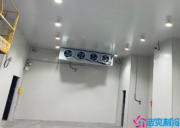 水果氣調日皮网站在线观看設備