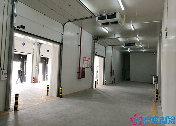 食品日皮网站在线观看