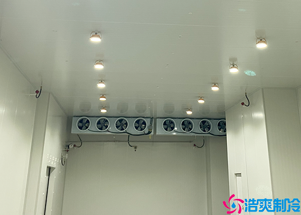 食品日皮网站在线观看