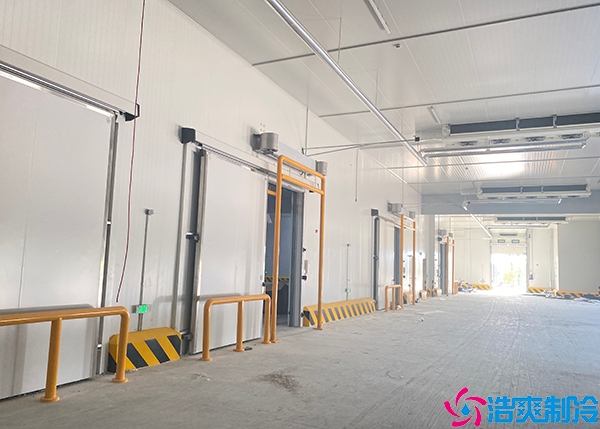 物流日皮网站在线观看