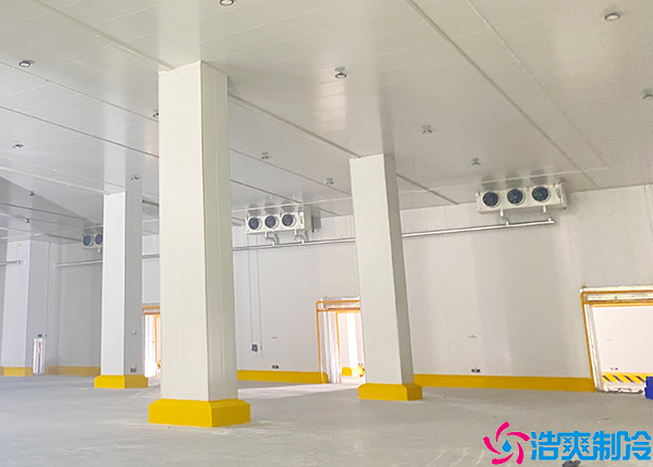 物流日皮网站在线观看