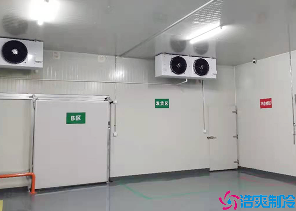 蔬菜保鮮日皮网站在线观看
