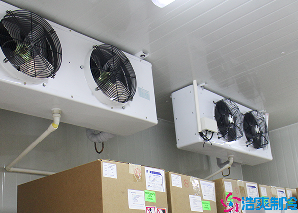 微型氣調保鮮日皮网站在线观看